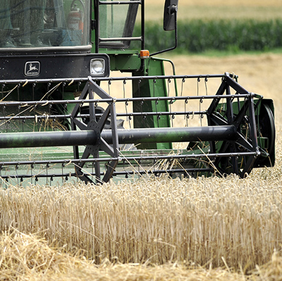 Content-Heimische-Landwirtschaft.jpg