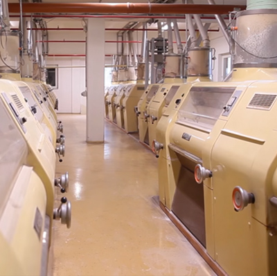 Walzenstühle in der Mühle Kottmann